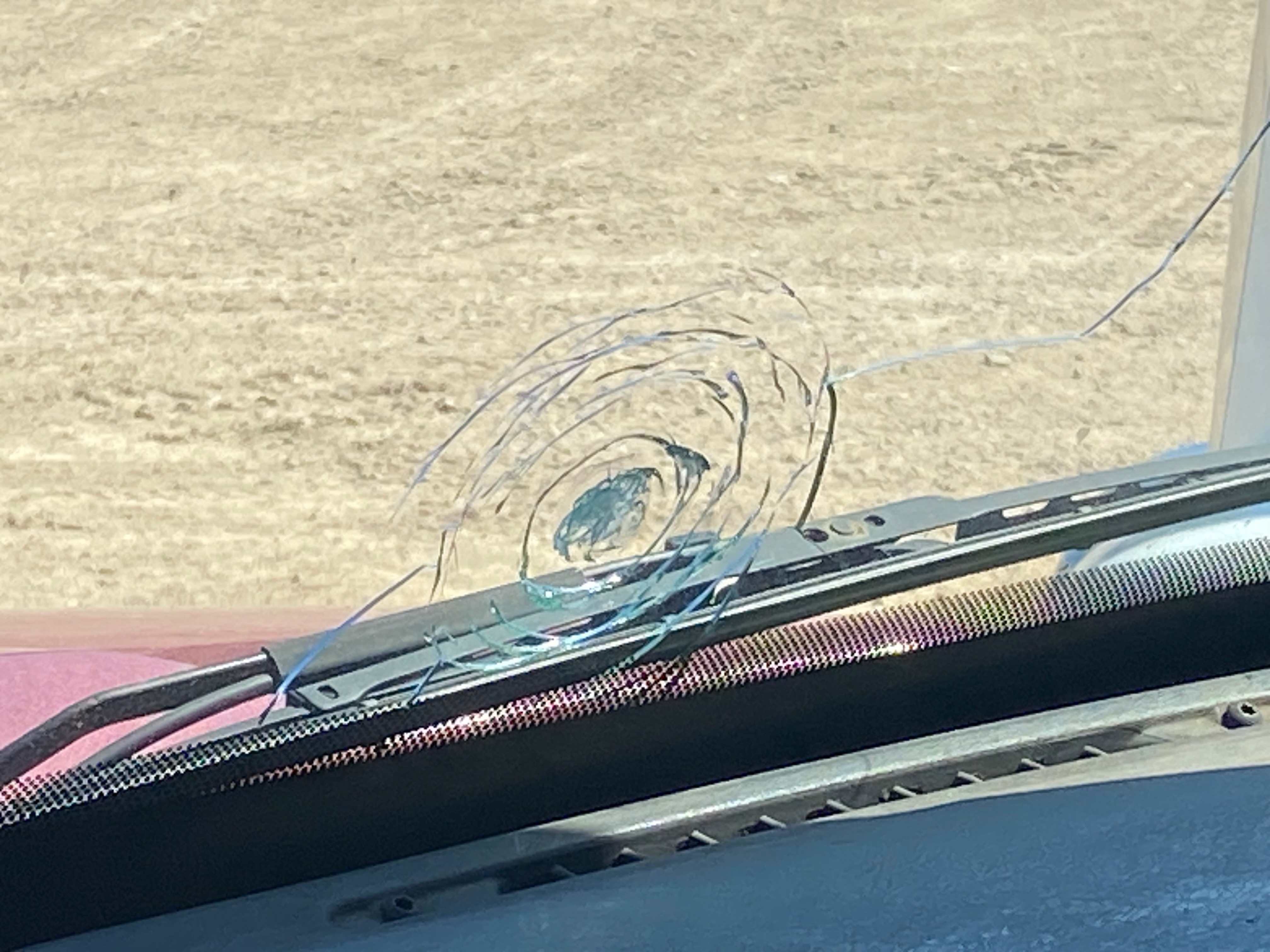 2008 FREIGHTLINER Columbia - Image 14